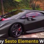 How Many Sesto Elemento Were Made